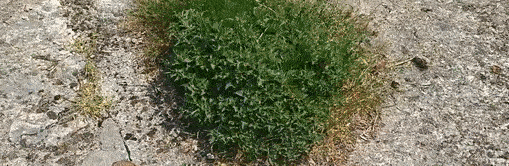 https://zaranest.com/cdn/shop/files/image_228_1721332805220-59438578-92885553-94088437_2.gif?v=1721332962&width=1500 The Indestructible Timmer